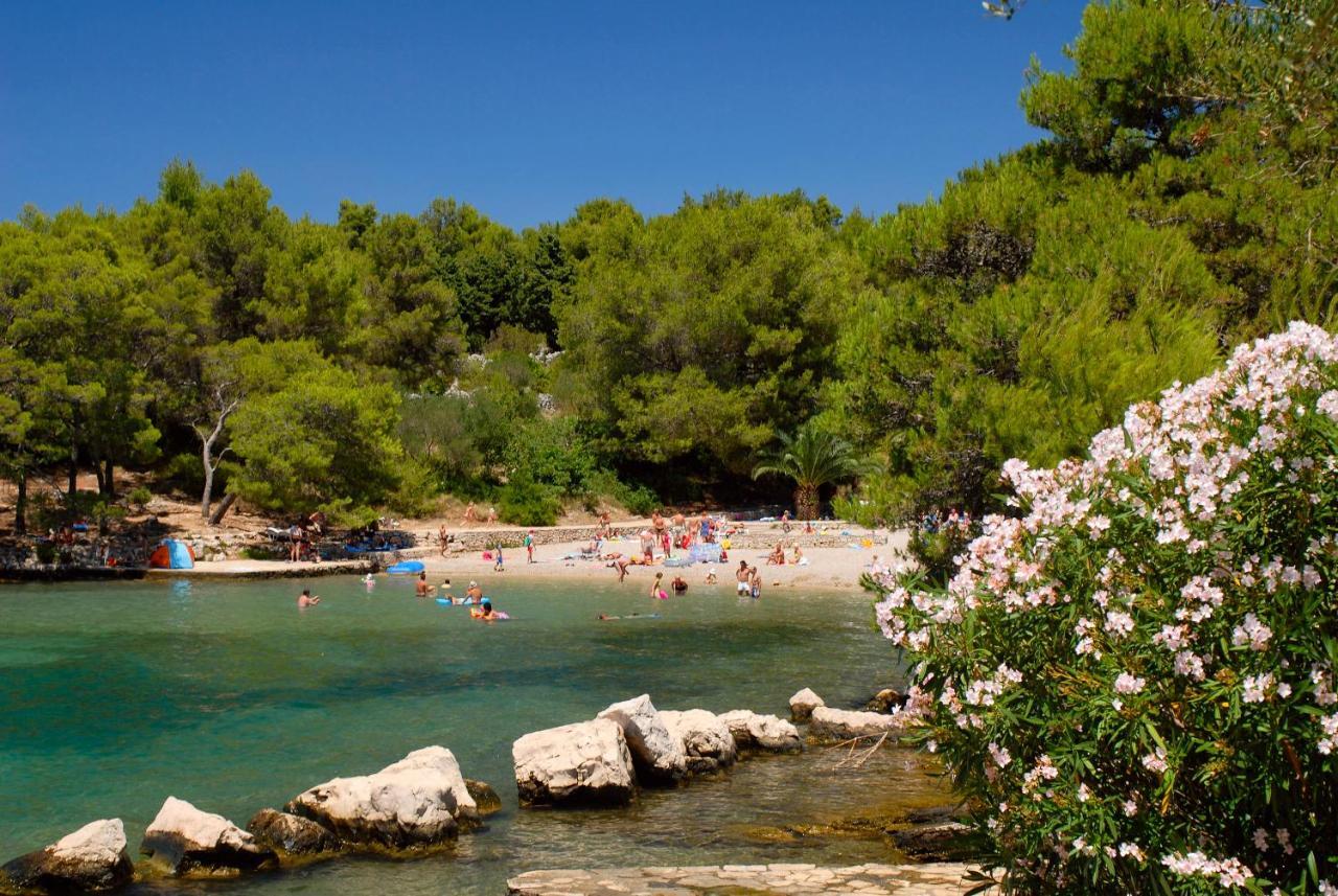 Trim Sunny Apartments By Valamar Stari Grad  Eksteriør billede